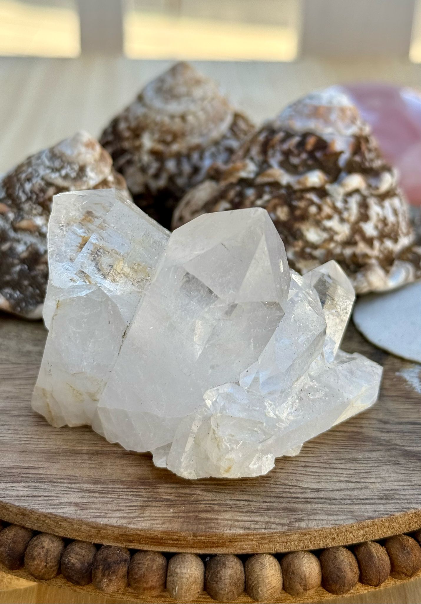 Clear Quartz Cluster #4