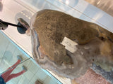 Amethyst Heart Museum Piece- 47.3 KG