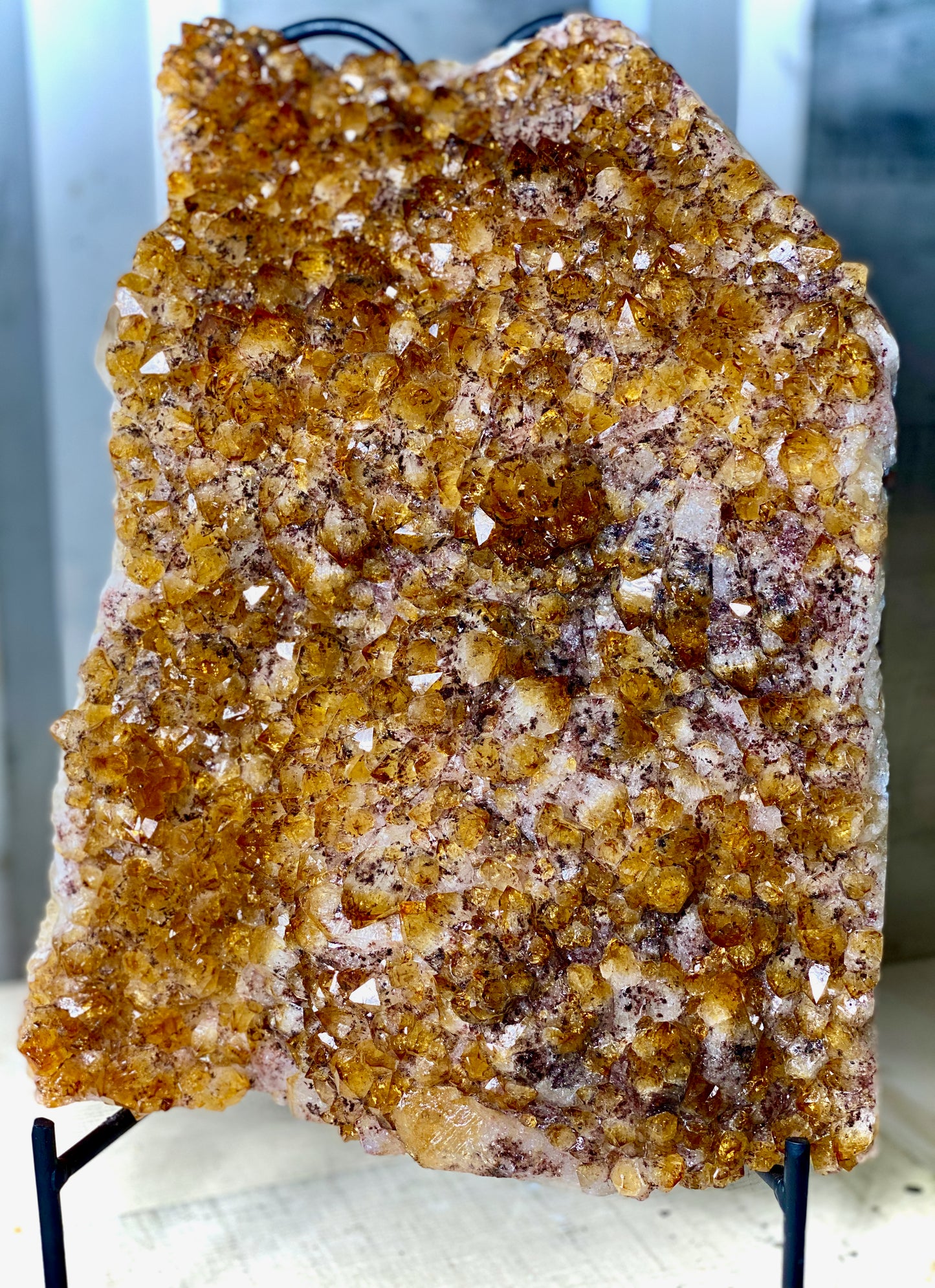 Citrine (Large) Plates