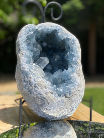 Celestite Geode with Calcite Tooth