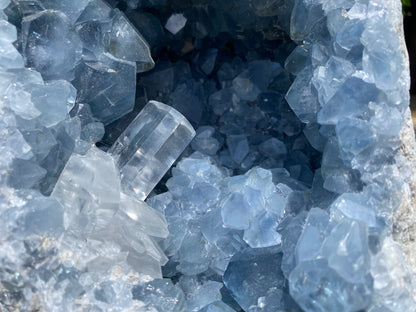 Celestite Geode with Calcite Tooth