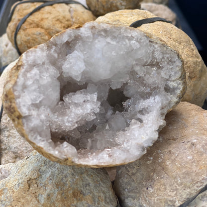 Geode Quartz Crystal Palm size