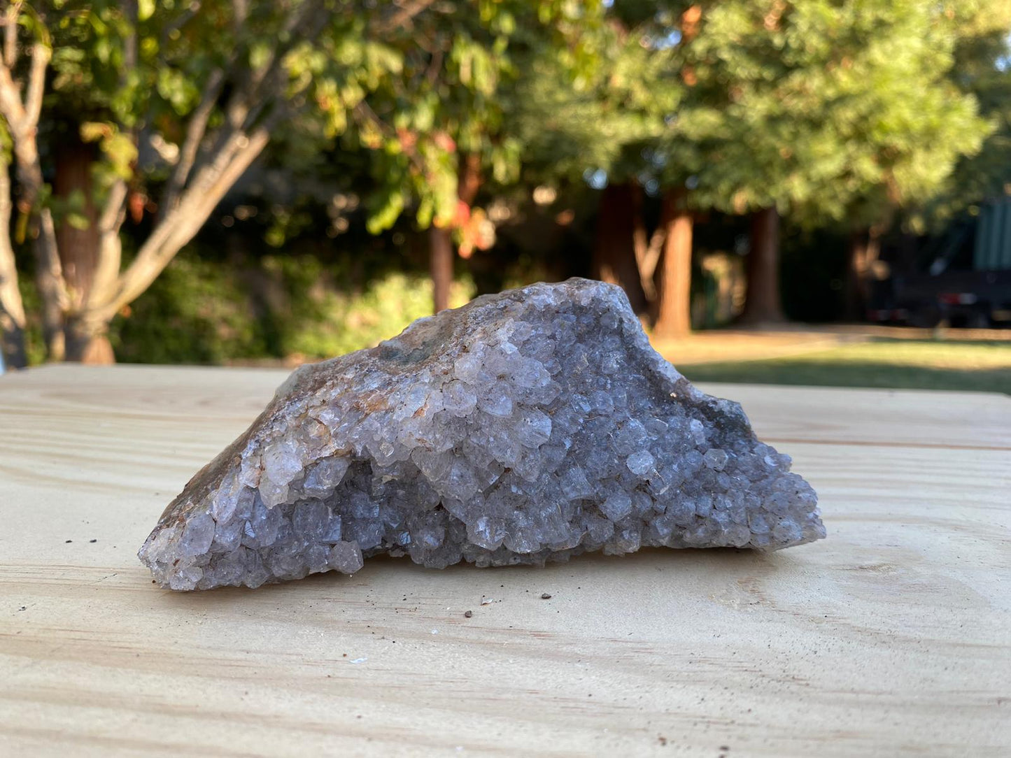 Amethyst Quartz Palm Cluster - Raw Edge