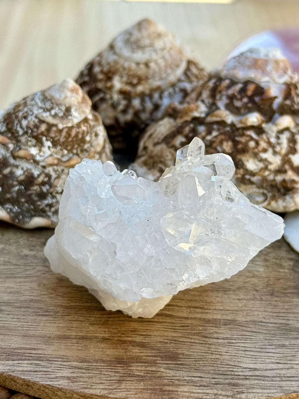 Clear Quartz Cluster #5