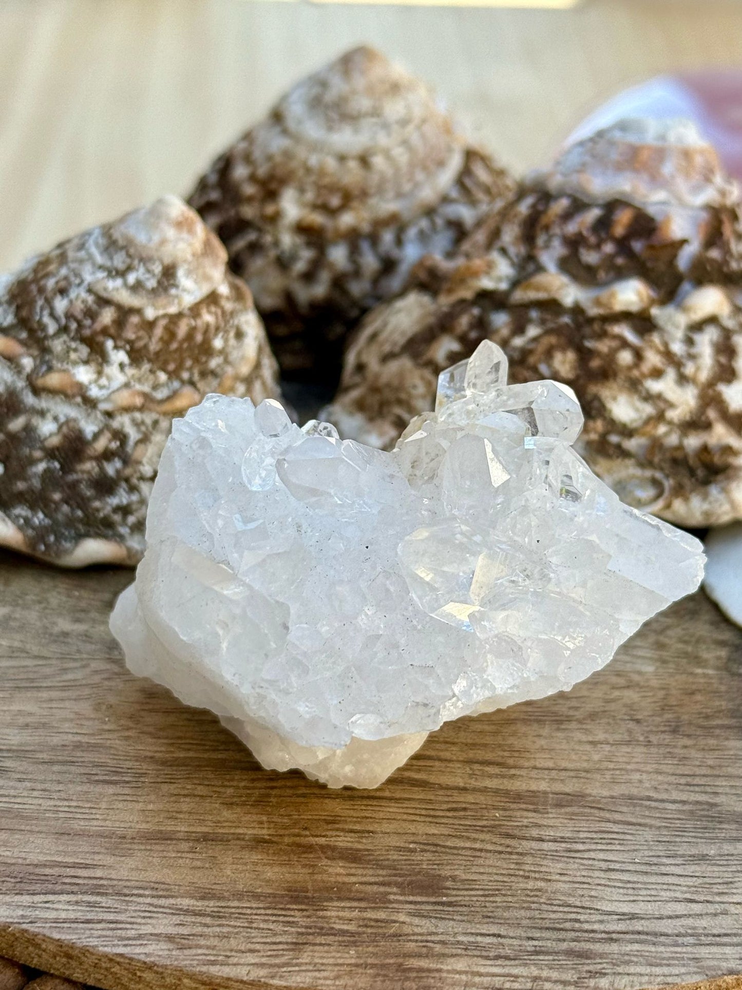 Clear Quartz Cluster #5