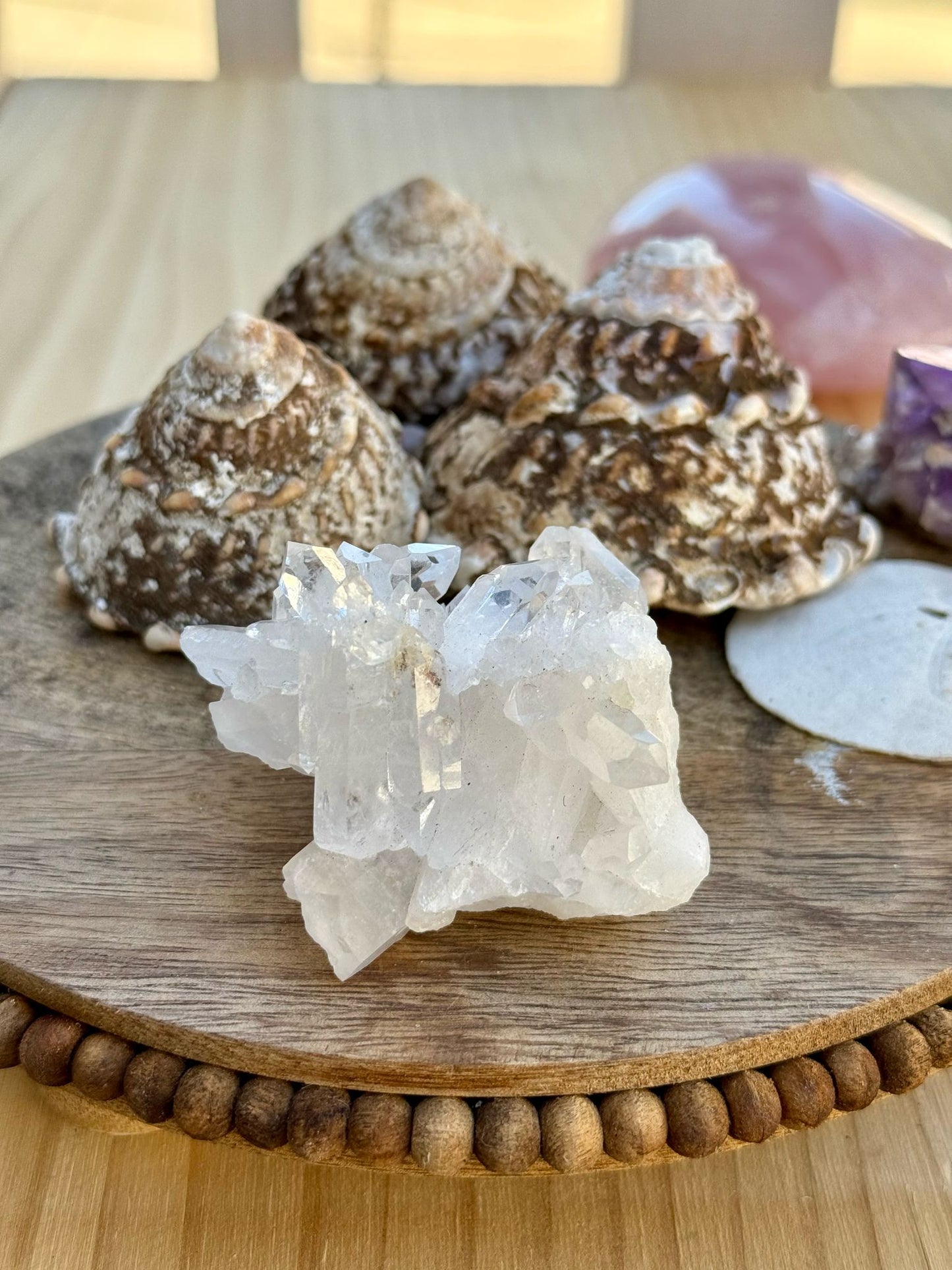 Clear Quartz Cluster #5