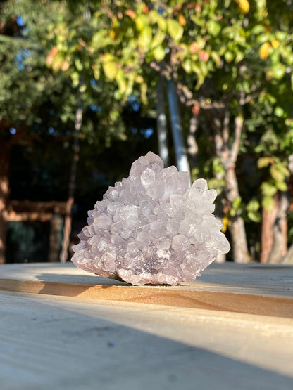 Amethyst Quartz Palm Cluster - Raw Edge