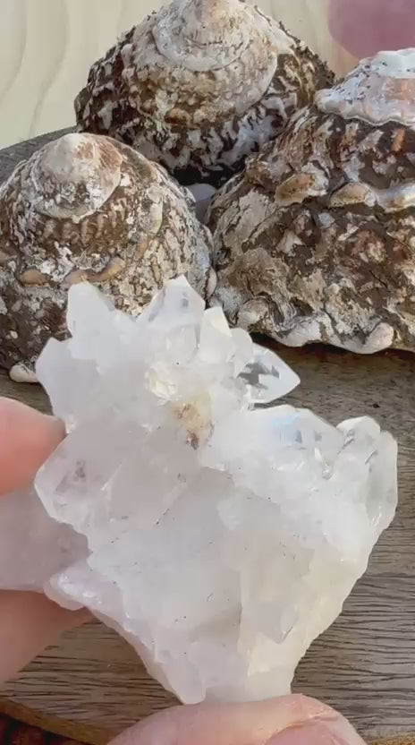 Clear Quartz Cluster #5